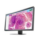 Eizo RadiForce MX317W - 4K-Auflösung und...