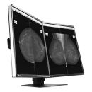 Eizo RadiForce GX560 MammoDuo Graustufen-Monitor mit 5 MP